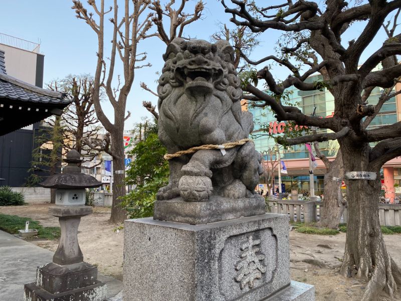 竹ノ塚駅東口にある竹塚神社の狛犬です。