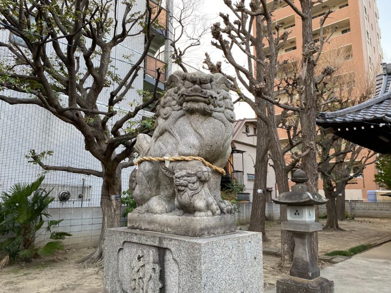竹ノ塚駅東口にある竹塚神社の狛犬です。